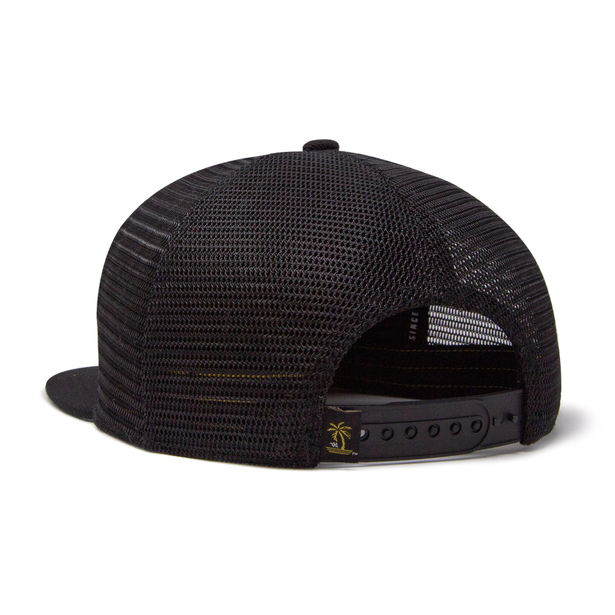 Cruzin' Snapback Edition II